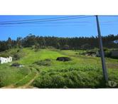 Terrain - Alcobaï¿½a - 5365m2