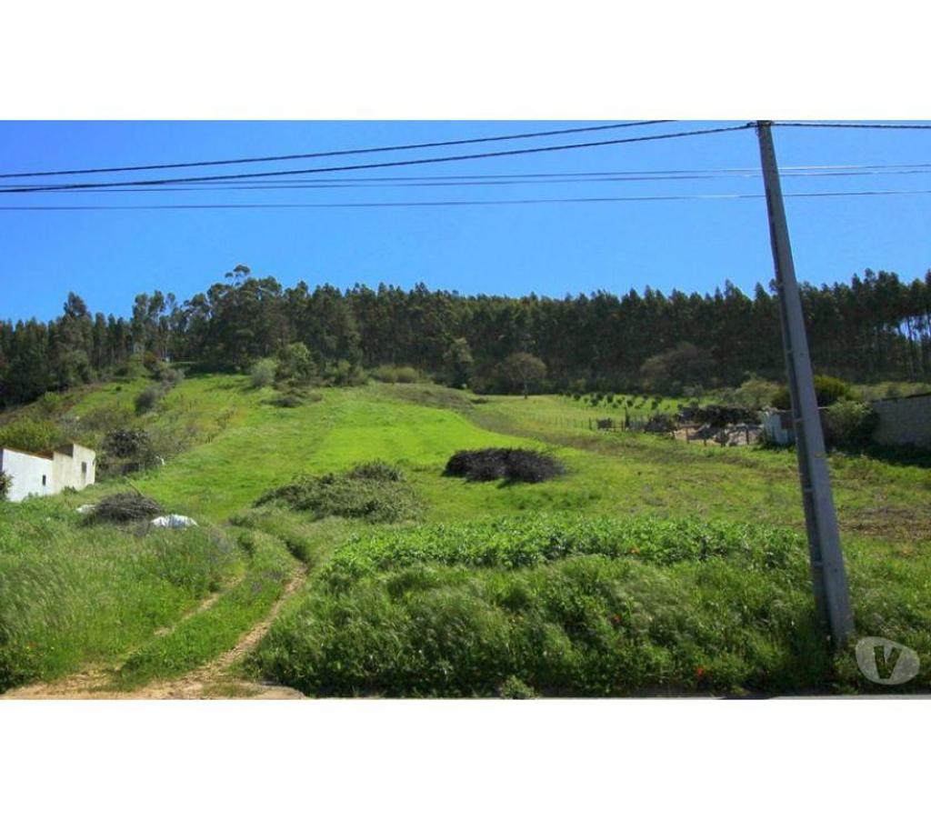 Terrain à vendre Portugal - Photos Vivastreet Terrain - Alcobaï¿½a - 5365m2