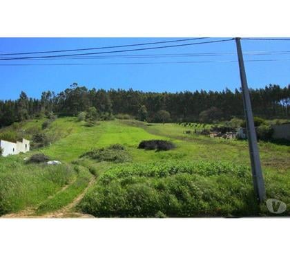 Vente Terrain - Photos Vivastreet Terrain - Alcobaï¿½a - 5365m2