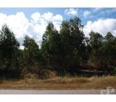 Terrain - Caldas da Rainha - 3799m2