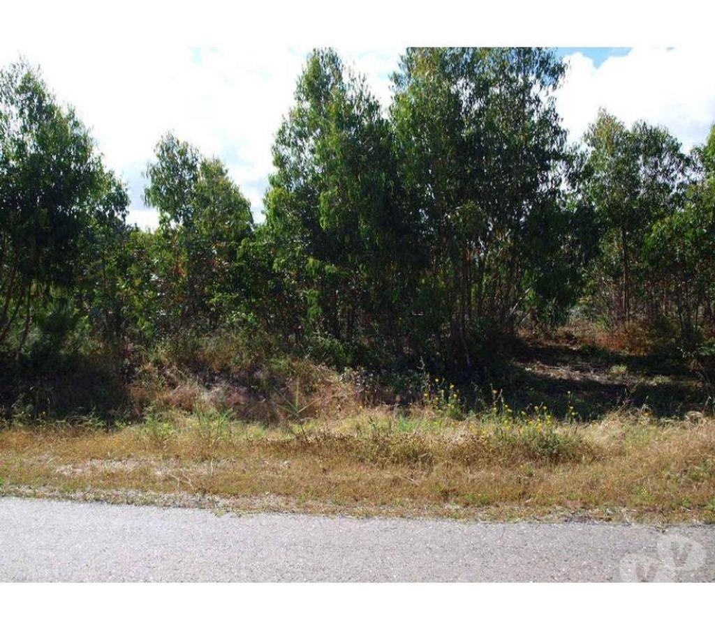 Terrain à vendre Portugal - Photos Vivastreet Terrain - Caldas da Rainha - 3799m2