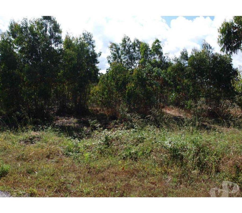 Terrain à vendre Portugal - Photos Vivastreet Terrain - Caldas da Rainha - 3799m2