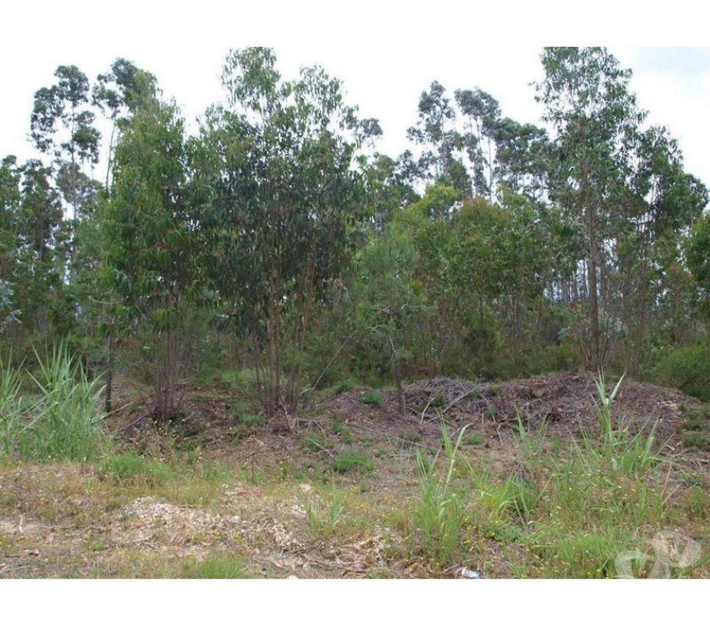 Terrain à vendre Portugal - Photos Vivastreet Terrain - Caldas da Rainha - 1847m2