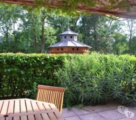 Appartement meublé Haute-Garonne Toulouse - Photos Vivastreet T2 MEUBLE BELLE VUE TERRASSE SUR PARC CENTENAIRE ET PISCINE 