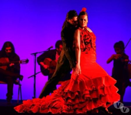 Musique - Théâtre - Danse Rhône Lyon - Photos Vivastreet COURS DANSE FLAMENCO LYON