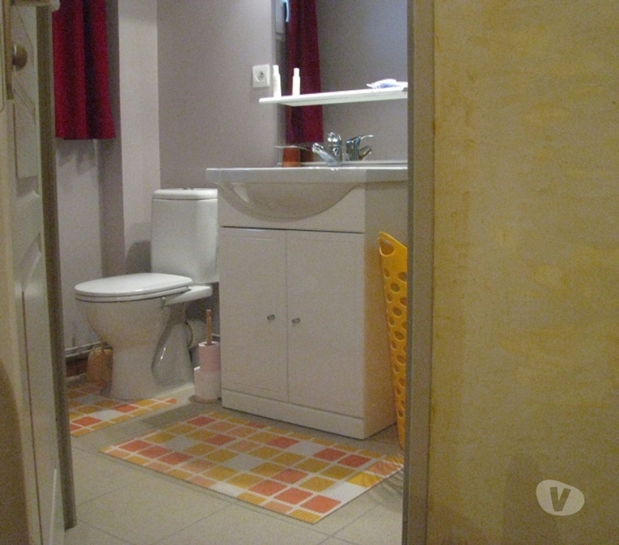 Appartement meublé Seine-Maritime St Jean de Folleville - 76170 - Photos Vivastreet appartement MEUBLE 27 M2 CC avec terrasse 