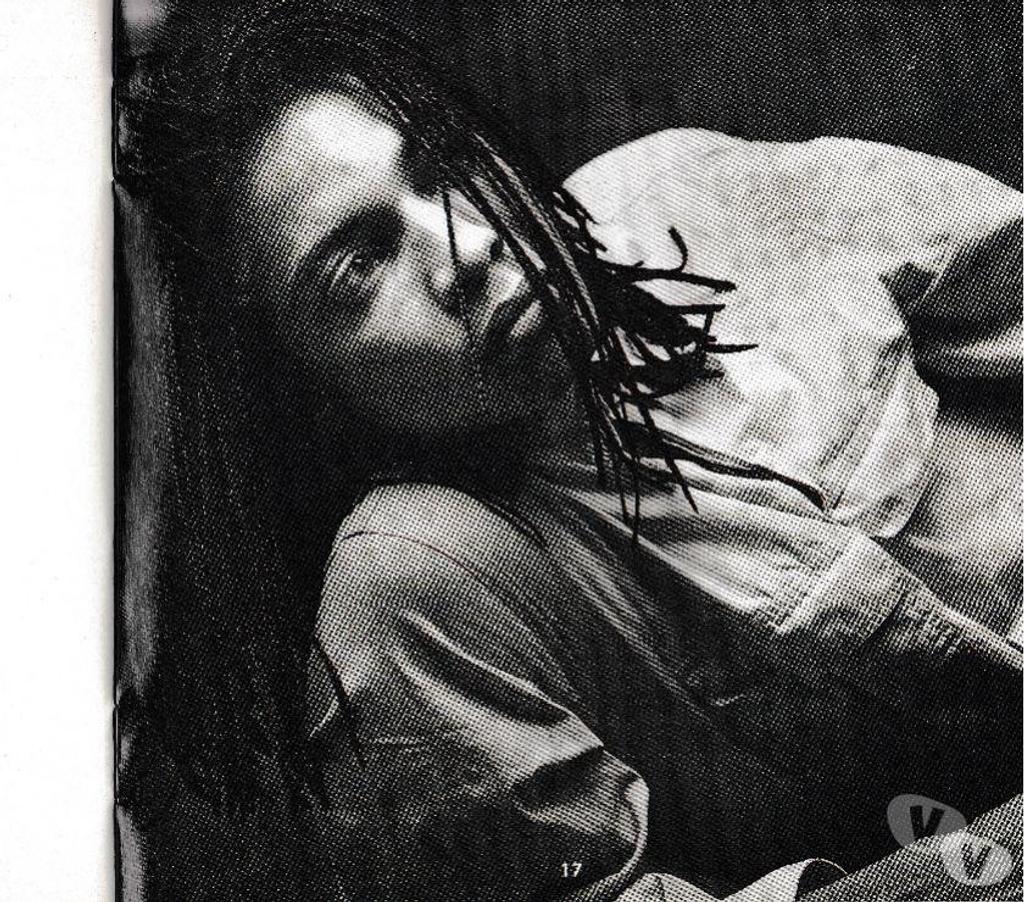 CDs Hauts-de-Seine Antony - 92160 - Photos Vivastreet CD Terence Trent D’Arby Introducing The Hardline According
