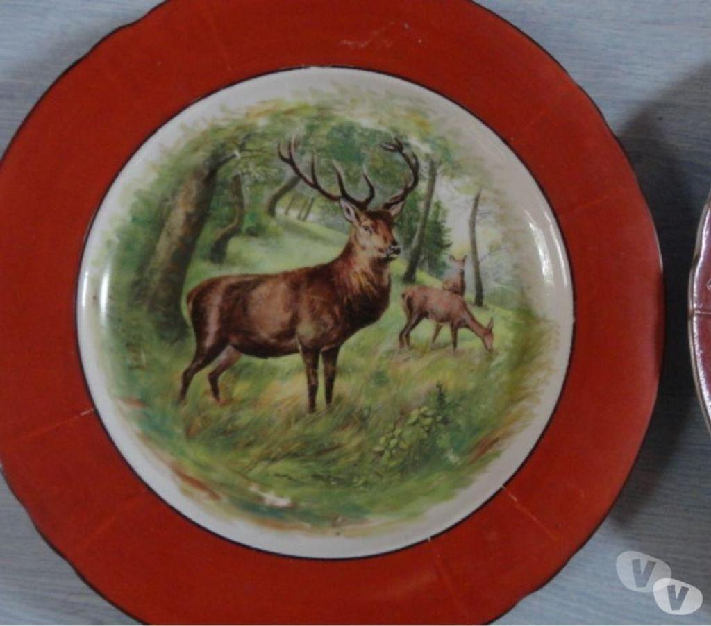 Décoration - art Oise Bornel - 60540 - Photos Vivastreet 2 assiettes decor chasse