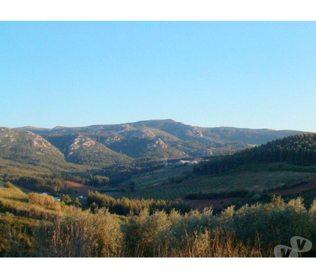 Terrain à vendre Portugal - Photos Vivastreet Terrain - Cadaval - 480m2