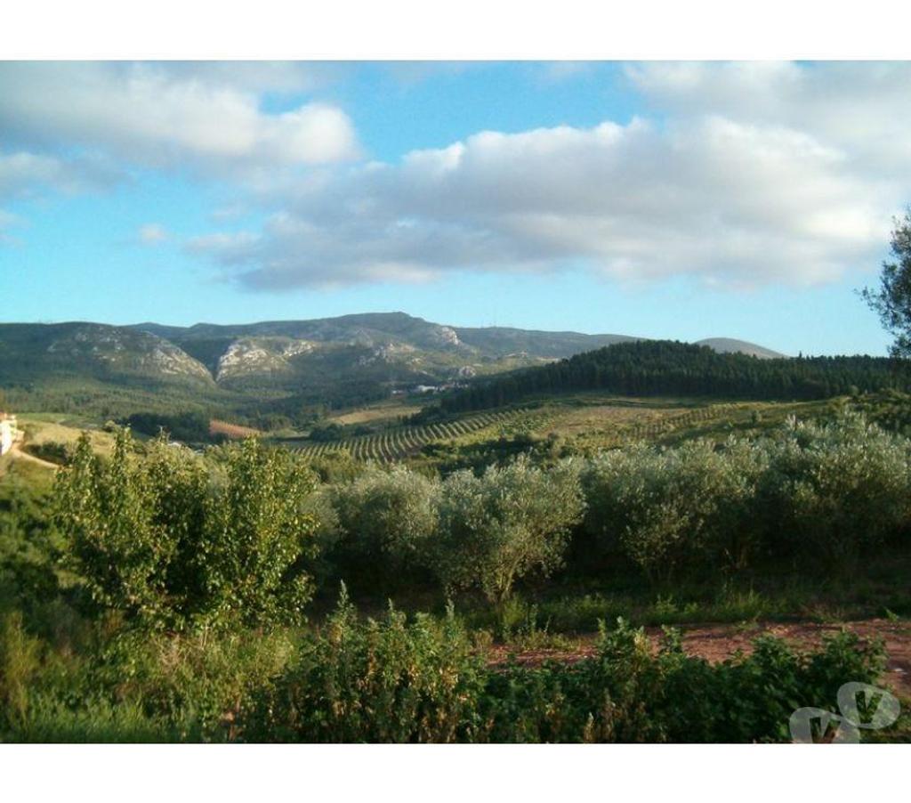 Terrain à vendre Portugal - Photos Vivastreet Terrain - Cadaval - 480m2