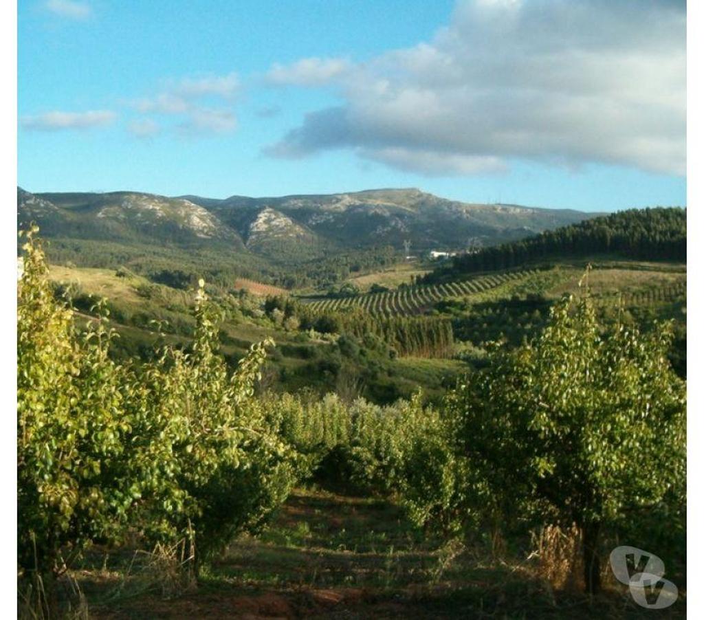 Terrain à vendre Portugal - Photos Vivastreet Terrain - Cadaval - 480m2