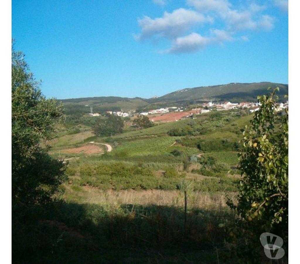 Terrain à vendre Portugal - Photos Vivastreet Terrain - Cadaval - 480m2