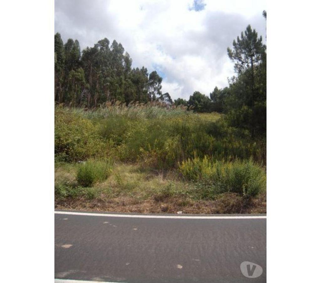 Terrain à vendre Portugal - Photos Vivastreet Terrain - Caldas da Rainha - 3100m2