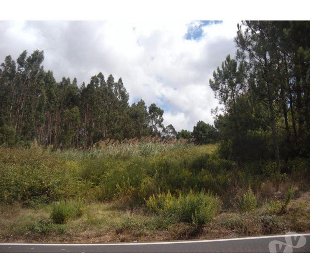 Terrain à vendre Portugal - Photos Vivastreet Terrain - Caldas da Rainha - 3100m2