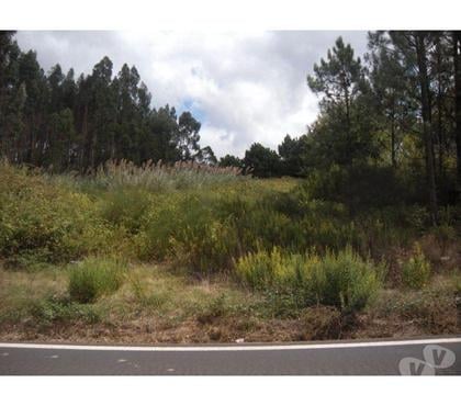Terrain à vendre - Photos Vivastreet Terrain - Caldas da Rainha - 3100m2