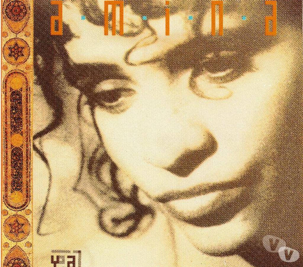 CDs Hauts-de-Seine Antony - 92160 - Photos Vivastreet CD Amina Yalil - Avec Belly Dance (Bonus « Sweat » Mix)