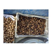 Noix Fraiches BIO non traités récolte 2022