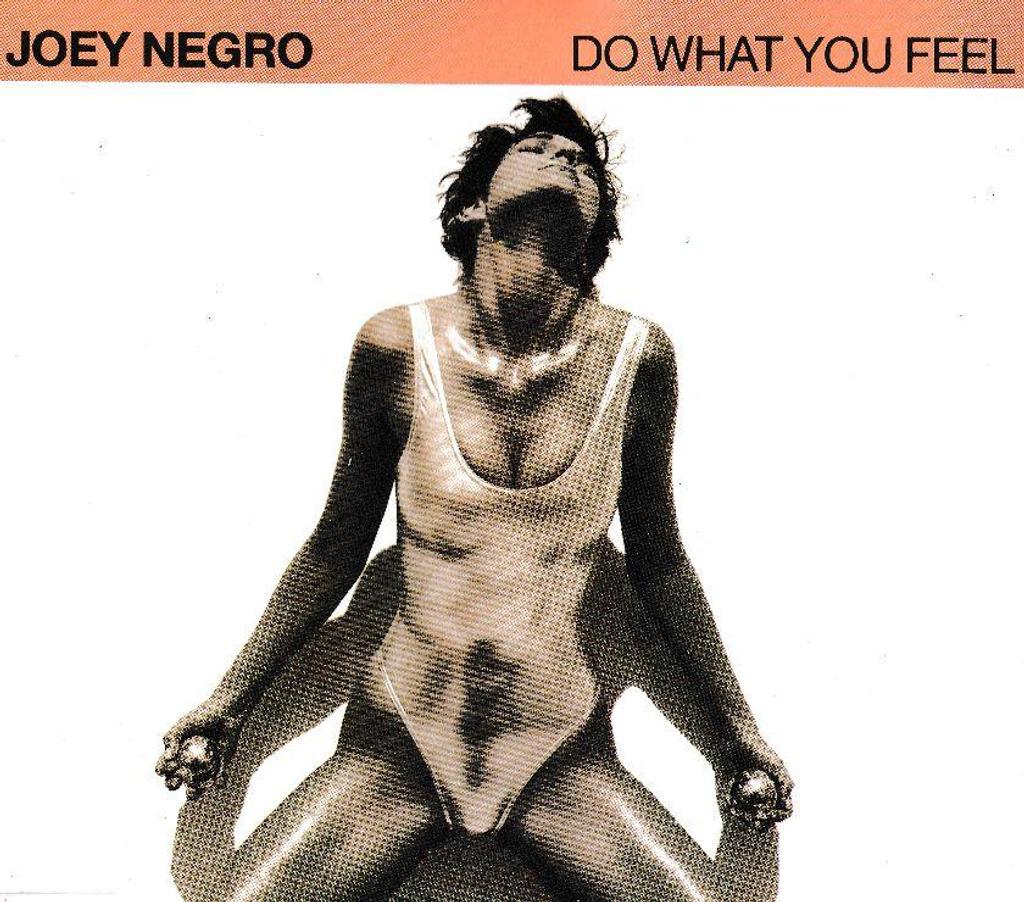 CDs Hauts-de-Seine Antony - 92160 - Photos Vivastreet CD Joey Negro - Do What You Feel