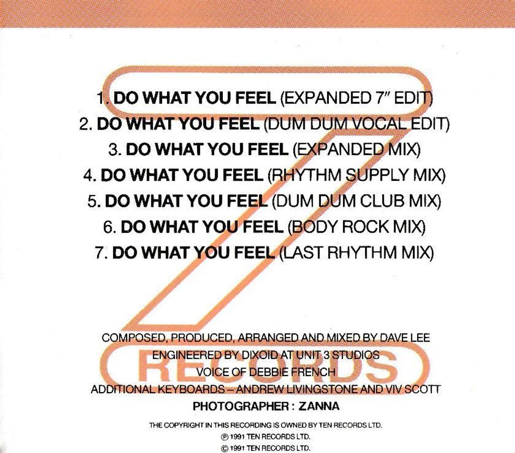 CDs Hauts-de-Seine Antony - 92160 - Photos Vivastreet CD Joey Negro - Do What You Feel