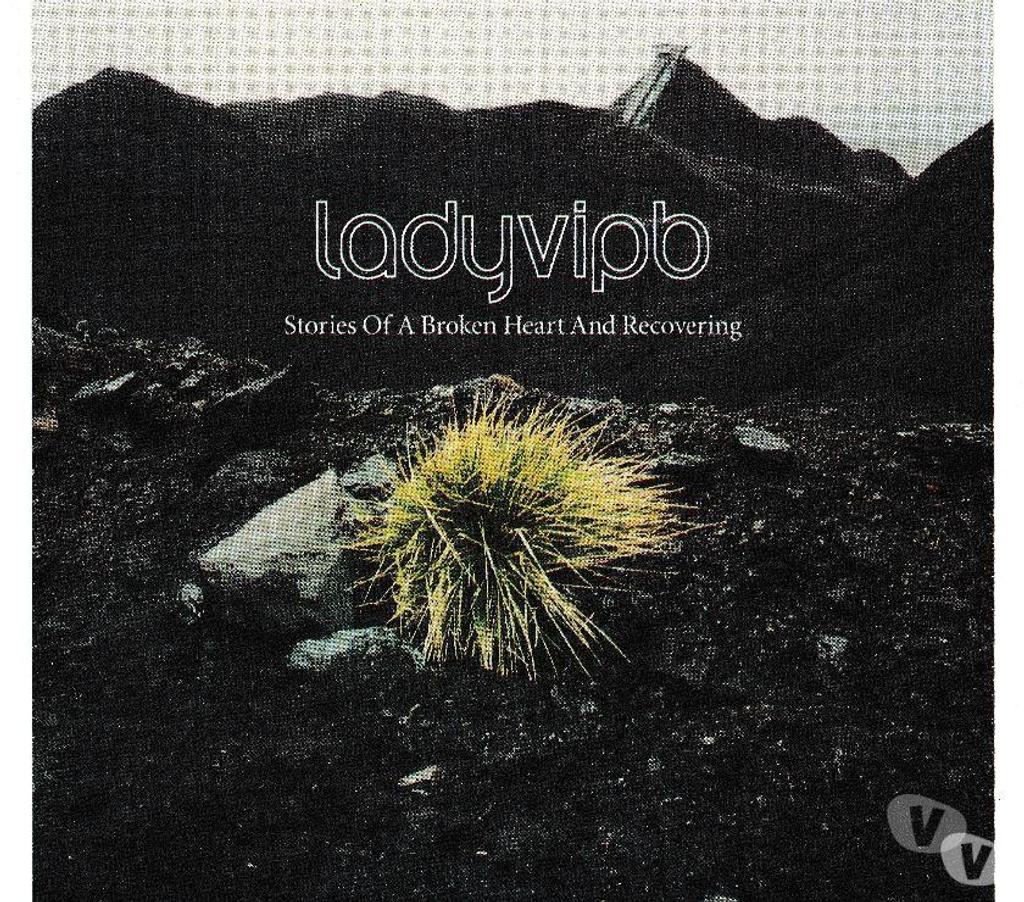CDs Hauts-de-Seine Antony - 92160 - Photos Vivastreet CD Ladyvipb - Stories Of A Broken Heart And Recovering