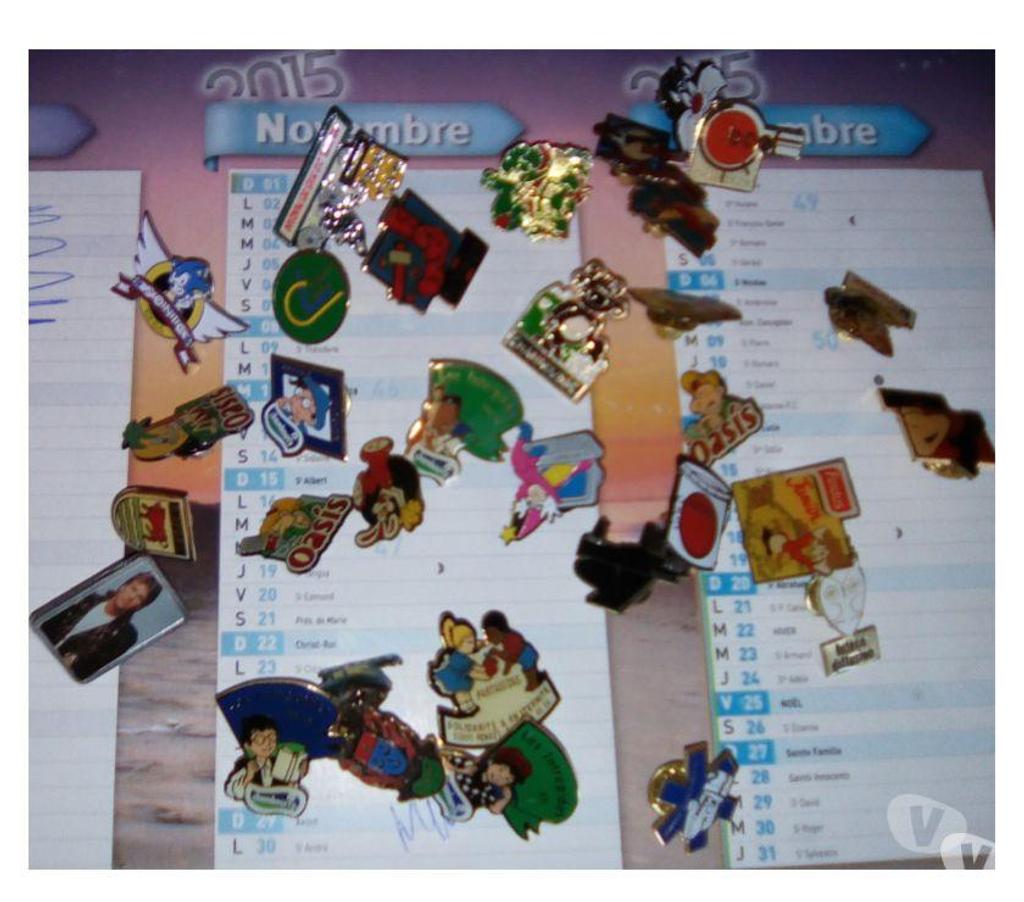 Collection Loiret Puiseaux - 45390 - Photos Vivastreet Lot de Pin’s divers 
