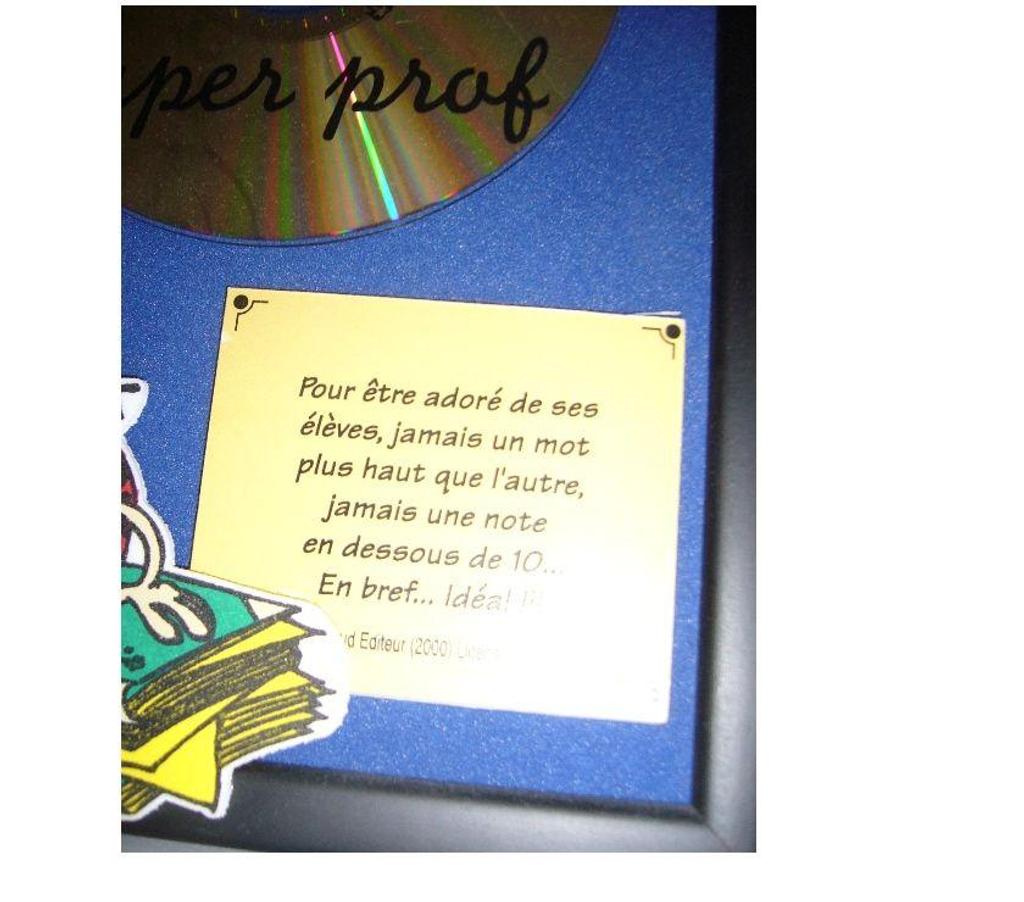 Décoration - art Rhône La Mulatiere - 69350 - Photos Vivastreet Plaque "diplôme du super prof " NEUVE 