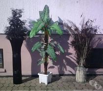 Fleurs Séchées et Fleurs Artificielles- Neuves