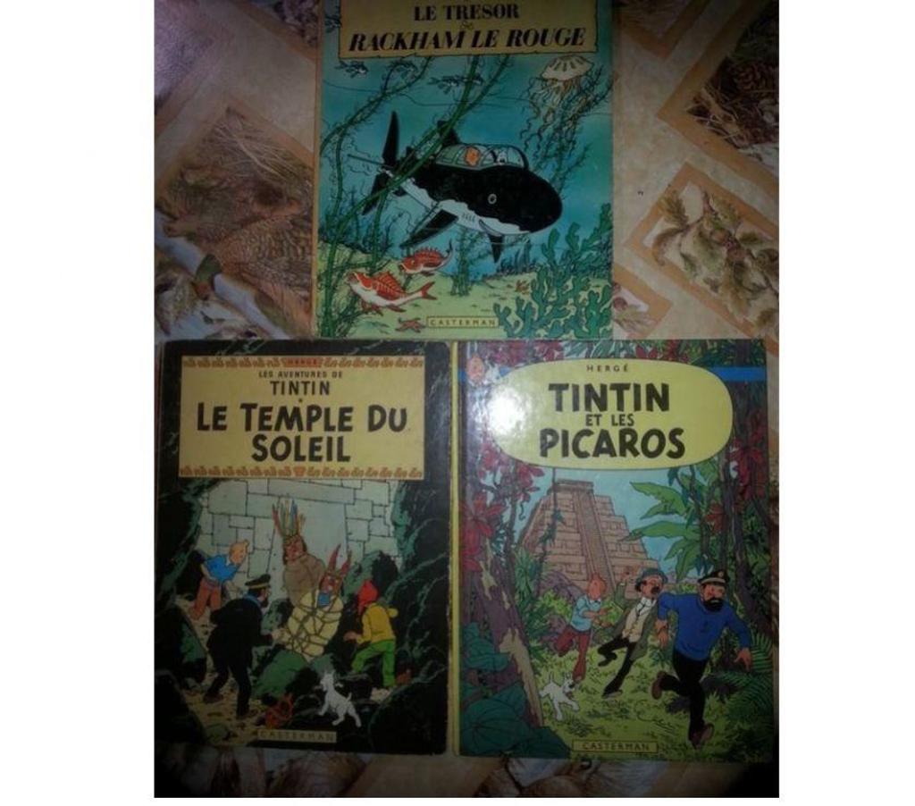 Livres occasion Seine-et-Marne Montceaux les Provins - 77151 - Photos Vivastreet tintin