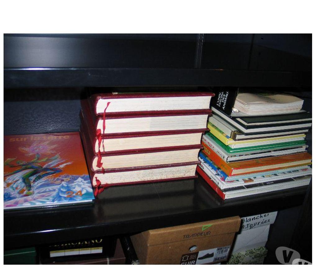 Livres occasion Essonne Quincy sous Senart - 91480 - Photos Vivastreet Lots de livres toutes les catégories