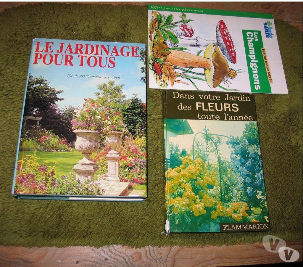 Livres occasion Essonne Quincy sous Senart - 91480 - Photos Vivastreet Lots de livres toutes les catégories