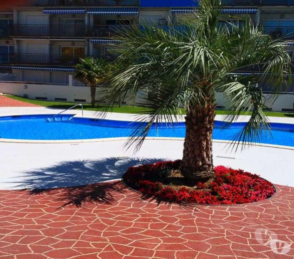location saisonniere Espagne - Photos Vivastreet Location vacances MARINA ROSES - 5 pers - Piscine.