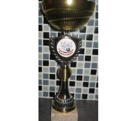 Organisations d'evènements Paris Paris 15ème ardt - 75015 - Photos Vivastreet Team building Bowling avec dîner pour groupes