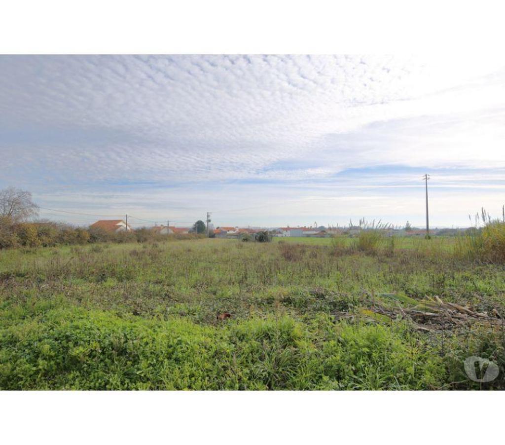 Terrain à vendre Portugal - Photos Vivastreet Terrain - Caldas da Rainha - 2801m2