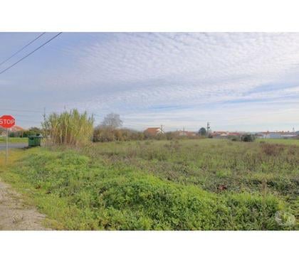 Vente Terrain - Photos Vivastreet Terrain - Caldas da Rainha - 2801m2