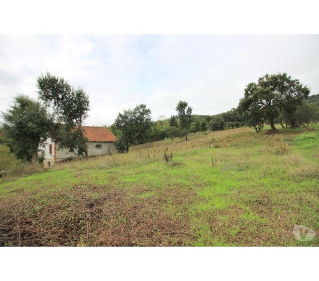 Terrain à vendre Portugal - Photos Vivastreet Terrain - Rio Maior - 1600m2