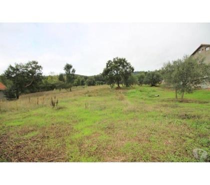 Vente Terrain - Photos Vivastreet Terrain - Rio Maior - 1600m2