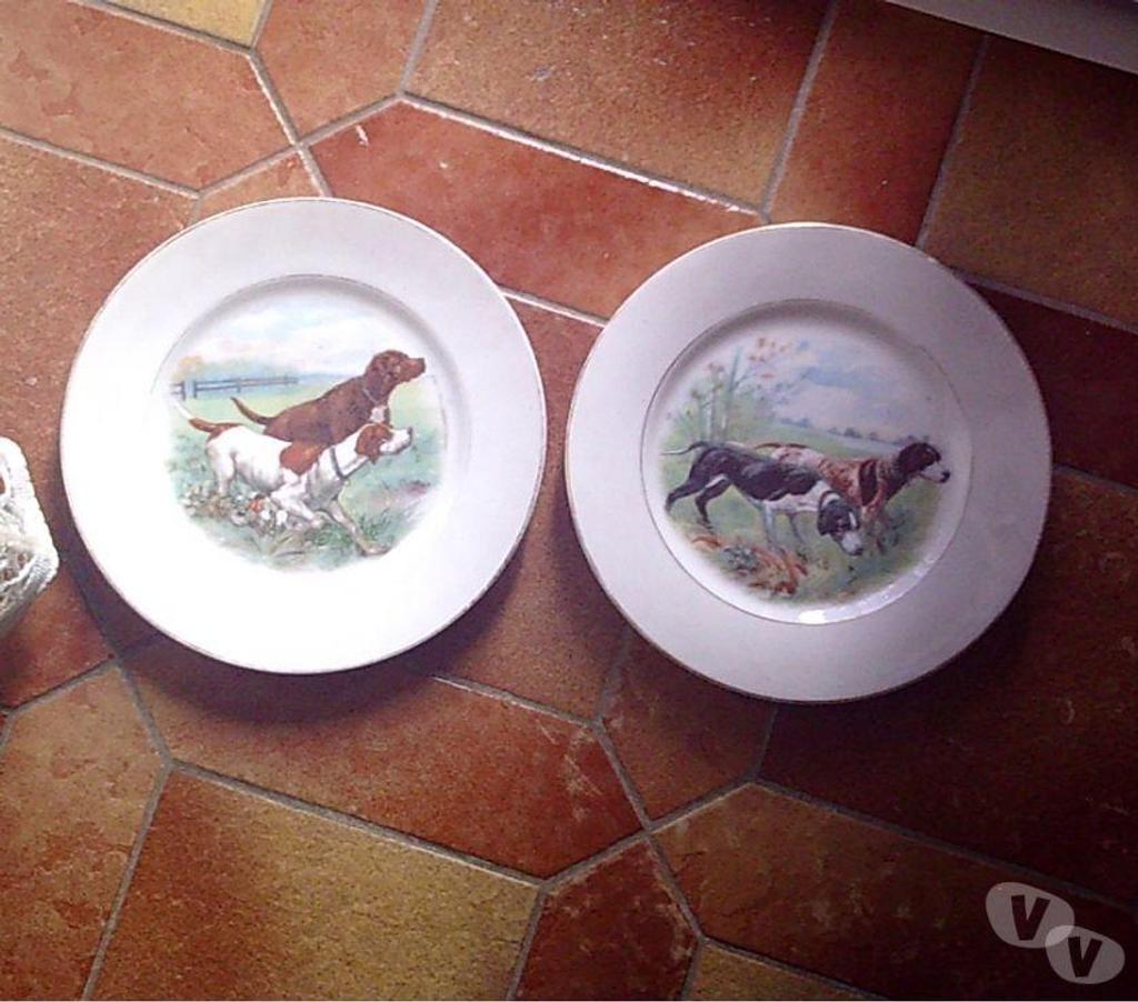 Ameublement & art de la table Bas-Rhin Bouxwiller - 67330 - Photos Vivastreet Assiettes "spéciales"