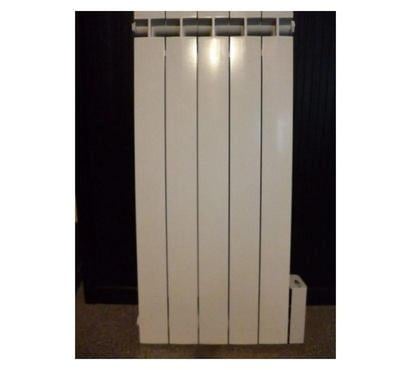 Bricolage - Jardin - Outillage La Celle sur Morin Seine-et-Marne - Photos Vivastreet radiateur élec ARS à double inertie fonte d'alu et fluide