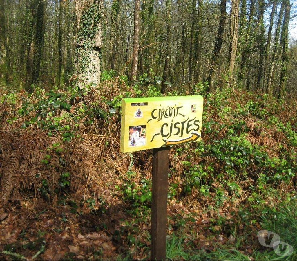 location saisonniere Finistère Scaer - 29390 - Photos Vivastreet FINISTERE SUD. TERRE & MER .Gîte sympa. RDC. WIFI. 2 Pers.