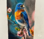 Paris 17ème ardt - Paris — Cours de dessin, de peinture, pastel et aquarelle 