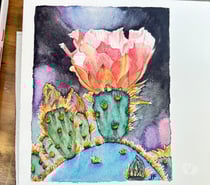 Cours de dessin, de peinture, pastel et aquarelle