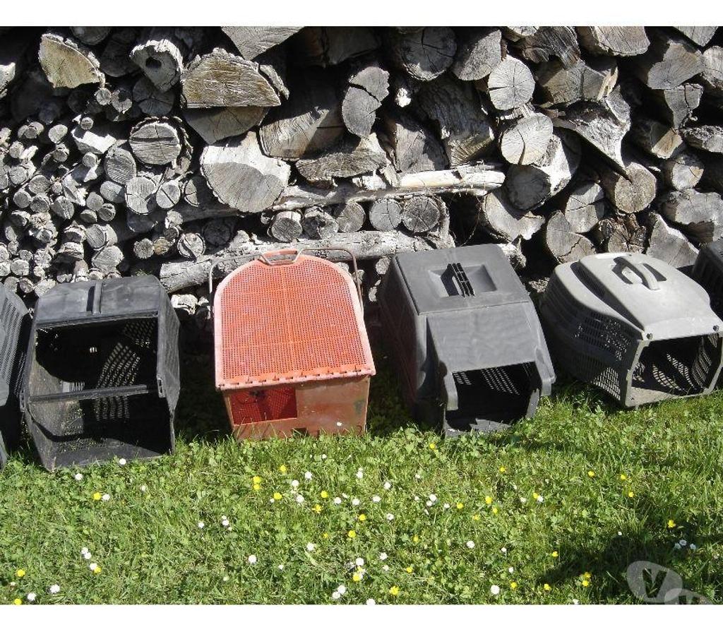  Côte-d'Or Chevigny St Sauveur - 21800 - Photos Vivastreet 0380473378