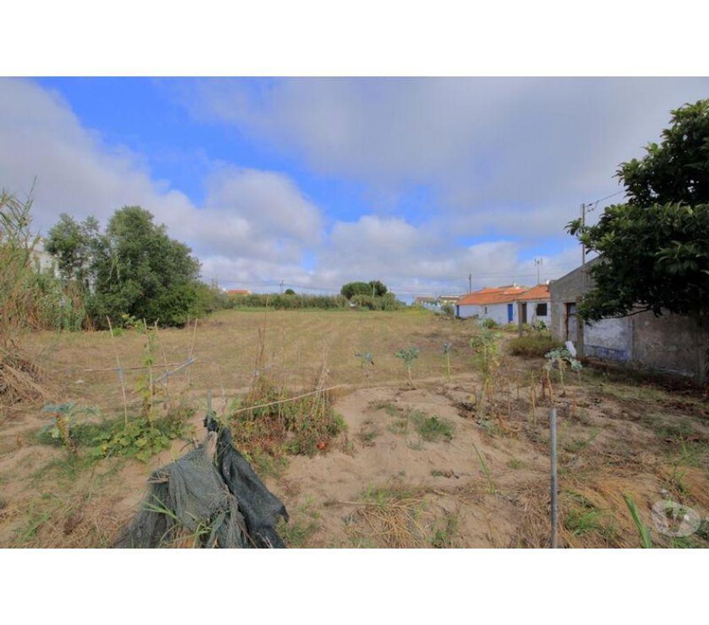 Terrain à vendre Portugal - Photos Vivastreet Terrain - Caldas da Rainha - 3958m2