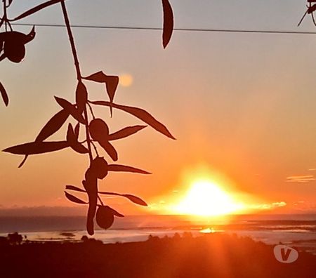 Vente Terres Agricoles Espagne - Photos Vivastreet Vue de la mer chalet