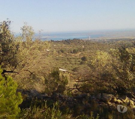 Vente Terres Agricoles Espagne - Photos Vivastreet Vue de la mer chalet