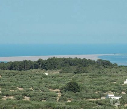 Terres Agricoles - Photos Vivastreet Vue de la mer chalet