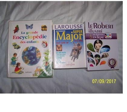 Livres Issy les Moulineaux Hauts-de-Seine - Photos Vivastreet Divers dictionnaires classes differentes