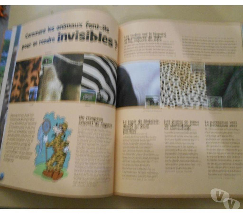 Livres occasion Marne Courcy - 51220 - Photos Vivastreet Livre ma planète disney les mammifères du sud