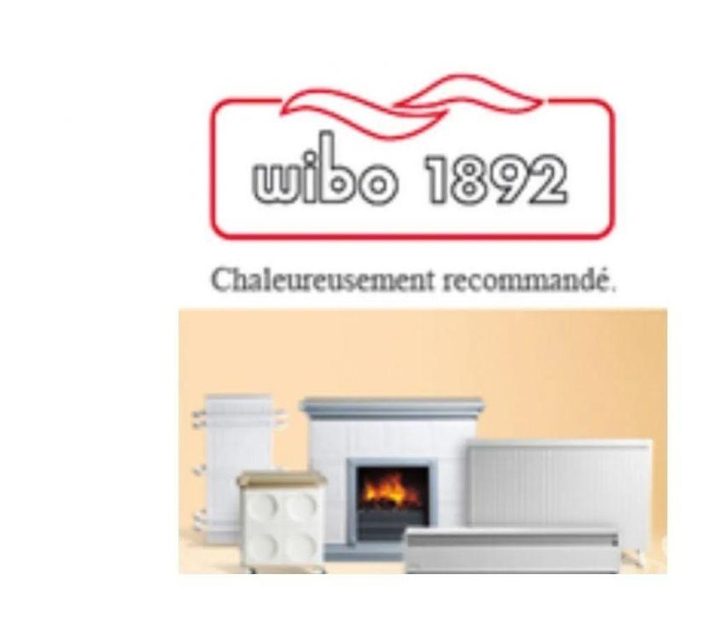 Artisans & dépannages Seine-et-Marne La Celle sur Morin - 77515 - Photos Vivastreet Dépannage radiateur électrique WIBO
