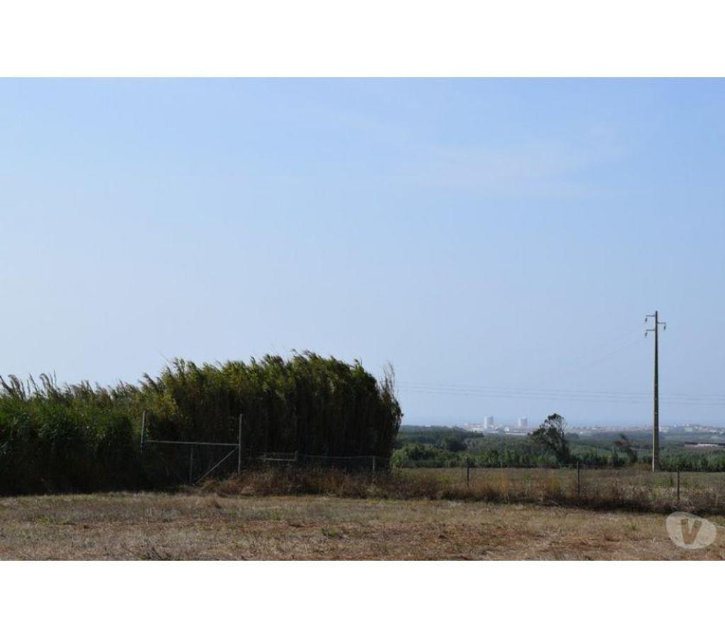 Terrain à vendre Portugal - Photos Vivastreet Terrain - Peniche - 1000m2